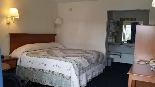 The Springs Motel - image 6