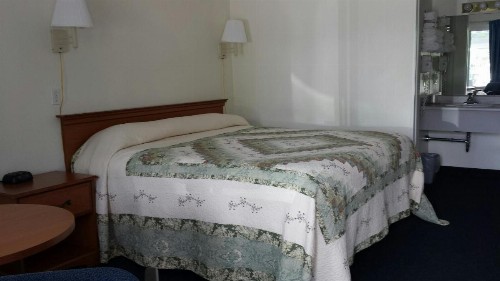 The Springs Motel - image 7