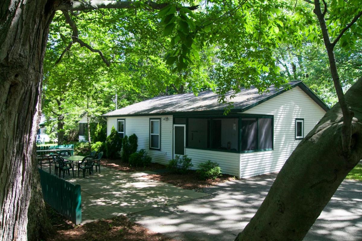 Goshorn Lake Cottage #1 - image 6
