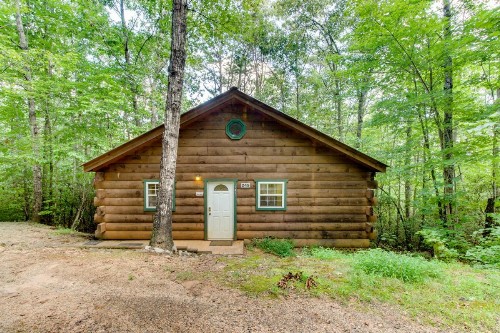 Forest Haven - image 6