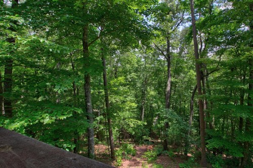 Mountain Getaway - image 14