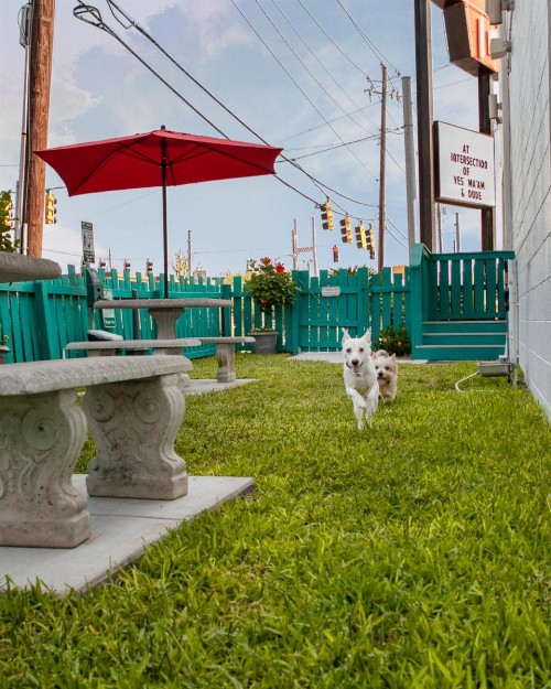 The Thunderbird Inn - image 22