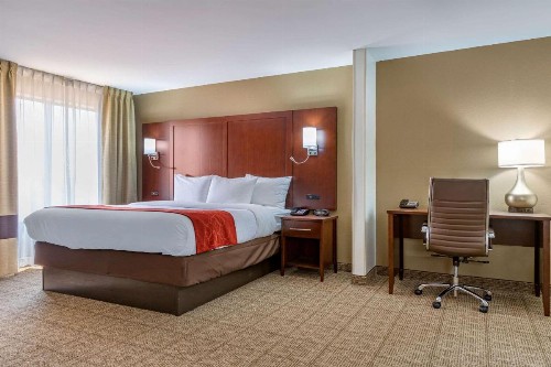 Comfort Suites Gateway - image 10
