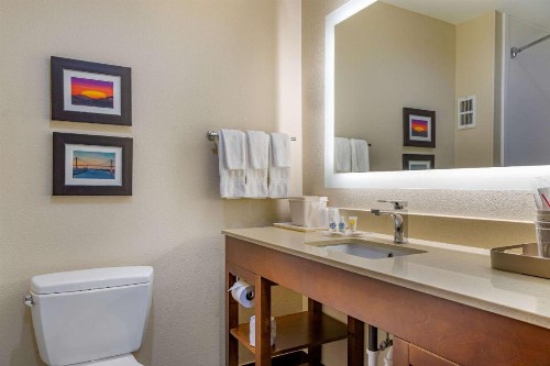 Comfort Suites Gateway - image 11