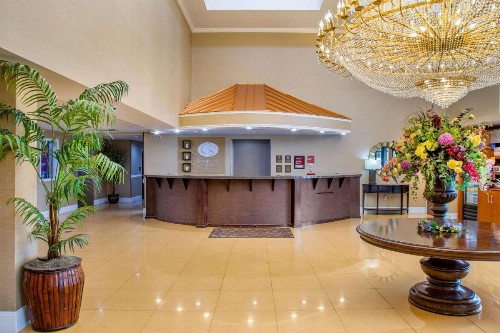 Comfort Suites Gateway - image 12