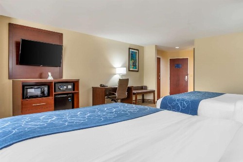 Comfort Suites Gateway - image 14