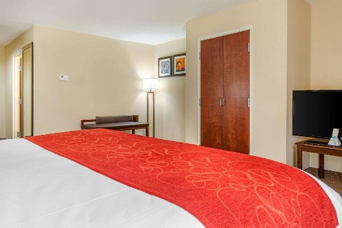 Comfort Suites Gateway - image 18