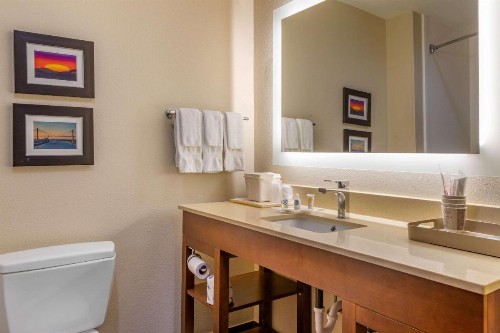 Comfort Suites Gateway - image 19
