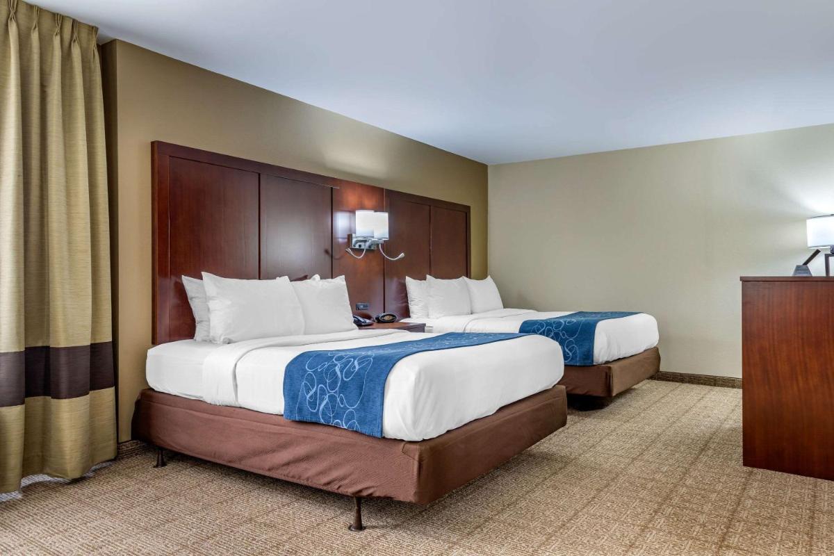 Comfort Suites Gateway - image 2
