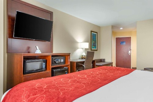 Comfort Suites Gateway - image 23