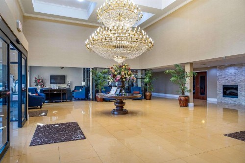 Comfort Suites Gateway - image 25