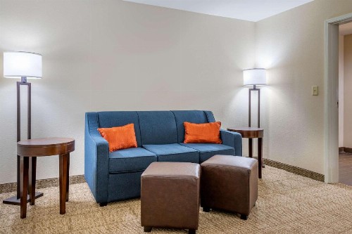 Comfort Suites Gateway - image 26