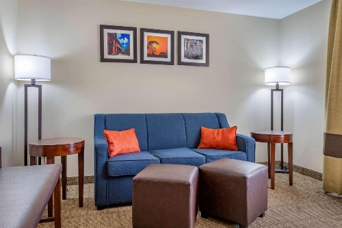 Comfort Suites Gateway - image 27