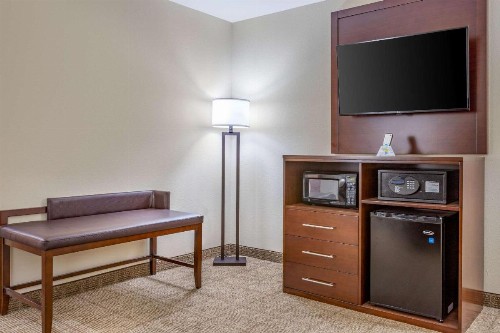 Comfort Suites Gateway - image 29