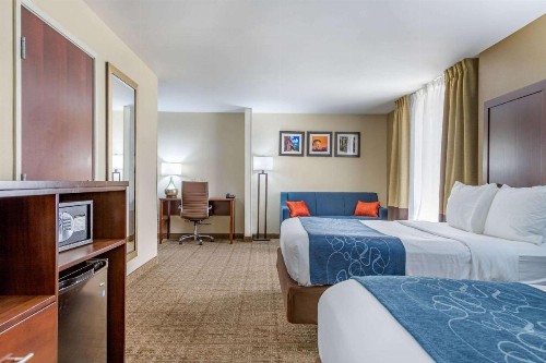 Comfort Suites Gateway - image 30