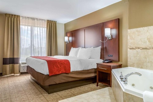 Comfort Suites Gateway - image 31