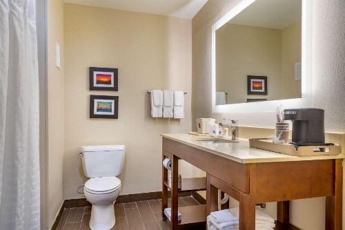 Comfort Suites Gateway - image 39