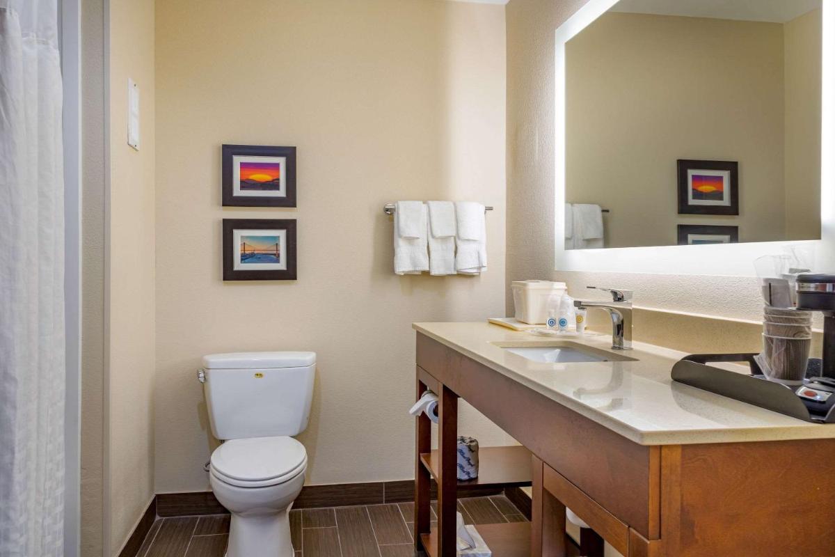 Comfort Suites Gateway - image 4