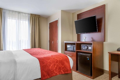 Comfort Suites Gateway - image 40