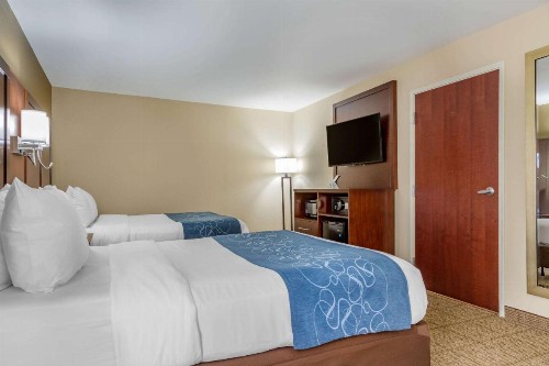 Comfort Suites Gateway - image 41