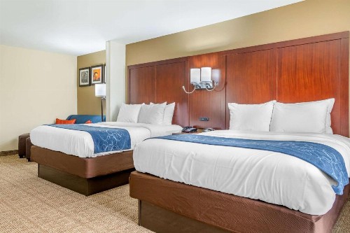 Comfort Suites Gateway - image 43
