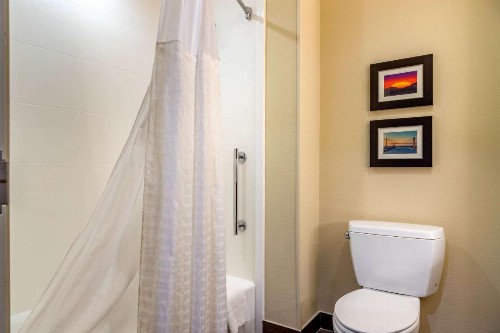 Comfort Suites Gateway - image 8