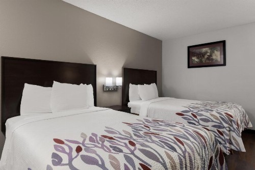 Red Roof Inn & Suites Savannah Airport - image 25