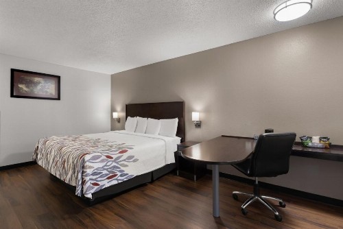 Red Roof Inn & Suites Savannah Airport - image 5