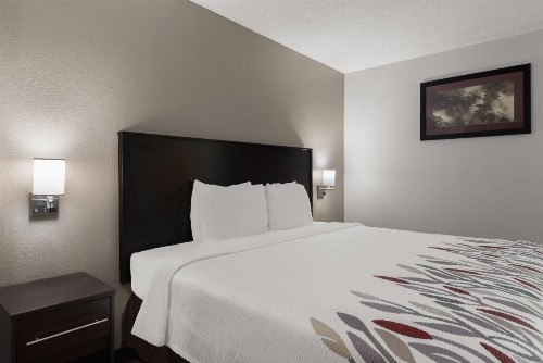 Red Roof Inn & Suites Savannah Airport - image 9