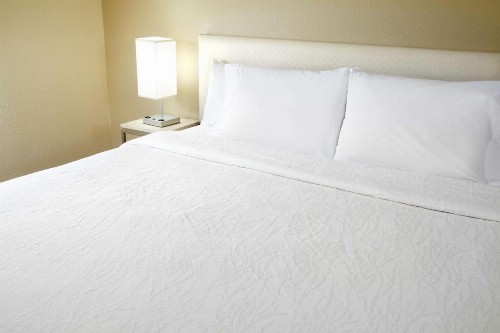 Hilton Garden Inn Savannah Midtown - image 22
