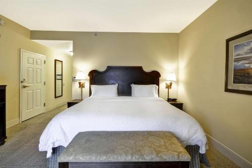 Hampton Inn & Suites Savannah Historic District - image 15