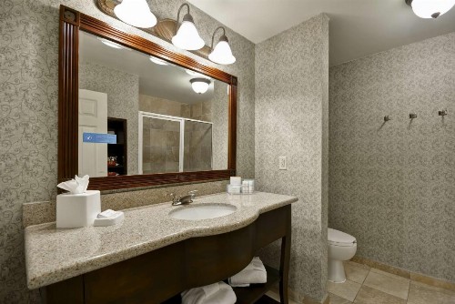 Hampton Inn & Suites Savannah Historic District - image 39
