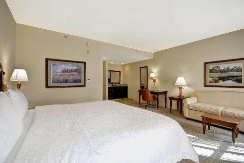 Hampton Inn & Suites Savannah Historic District - image 46
