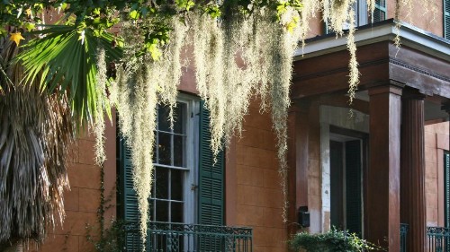 Hotel Indigo Savannah Historic District an IHG Hotel - image 5
