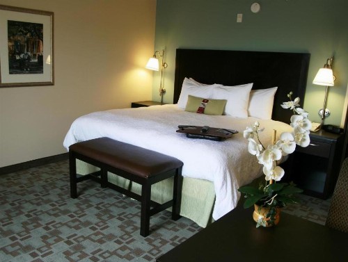 Hampton Inn And Suites Savannah-Airport - image 17
