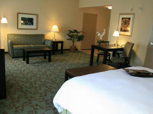 Hampton Inn And Suites Savannah-Airport - image 22