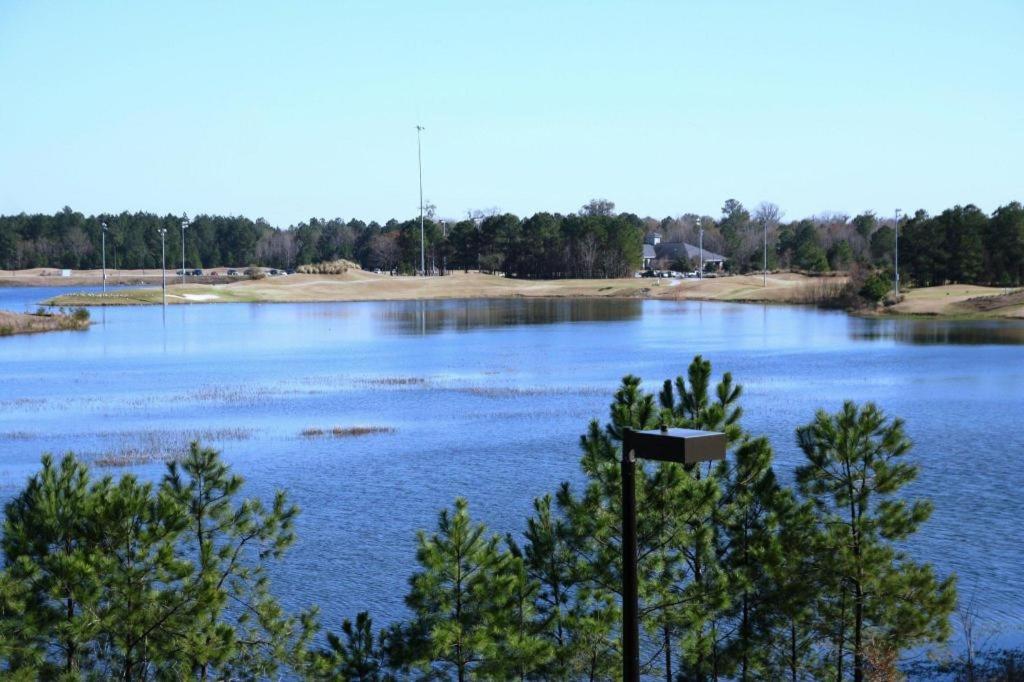 Hampton Inn And Suites Savannah-Airport - image 3