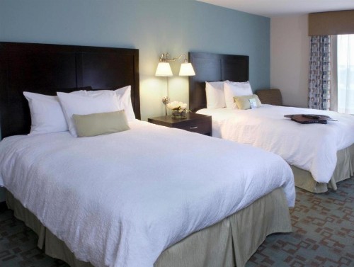 Hampton Inn And Suites Savannah-Airport - image 28