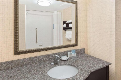 Hampton Inn And Suites Savannah-Airport - image 30