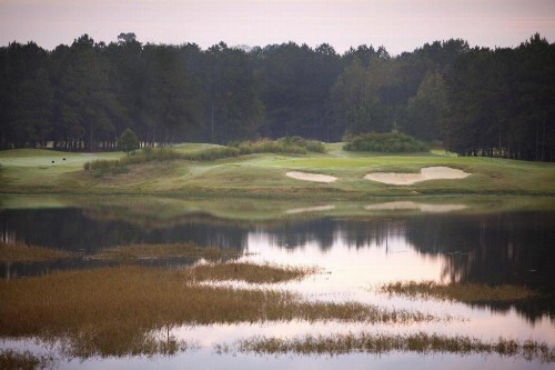Hampton Inn And Suites Savannah-Airport - image 7