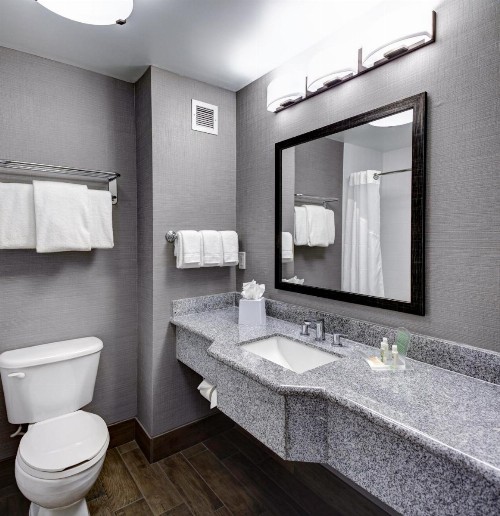 Holiday Inn Savannah Historic District an IHG Hotel - image 33
