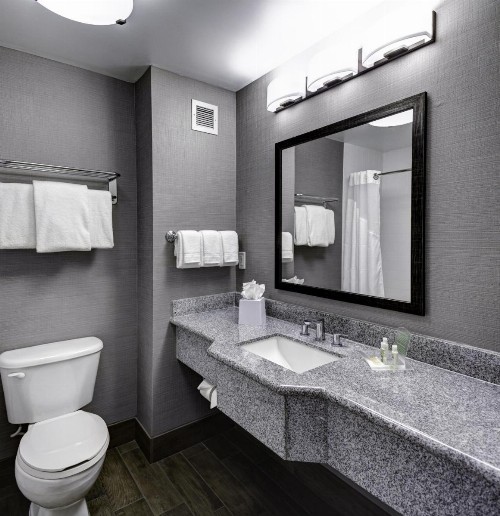 Holiday Inn Savannah Historic District an IHG Hotel - image 41
