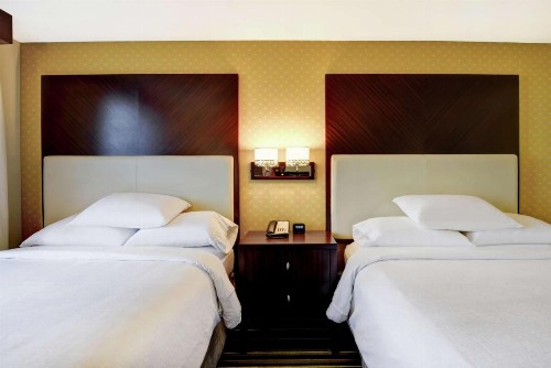 Embassy Suites Savannah Airport - image 15