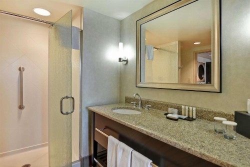 Embassy Suites Savannah Airport - image 19