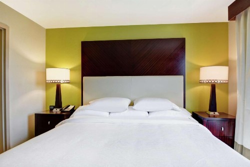 Embassy Suites Savannah Airport - image 32