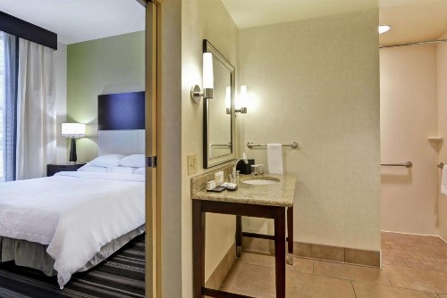 Embassy Suites Savannah Airport - image 49