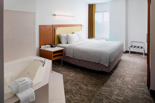 Springhill Suites by Marriott Savannah Downtown Historic District - image 23