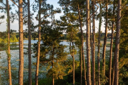 Fairfield Inn & Suites Savannah Airport - image 23