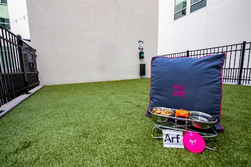 Aloft Savannah Downtown Historic District - image 32