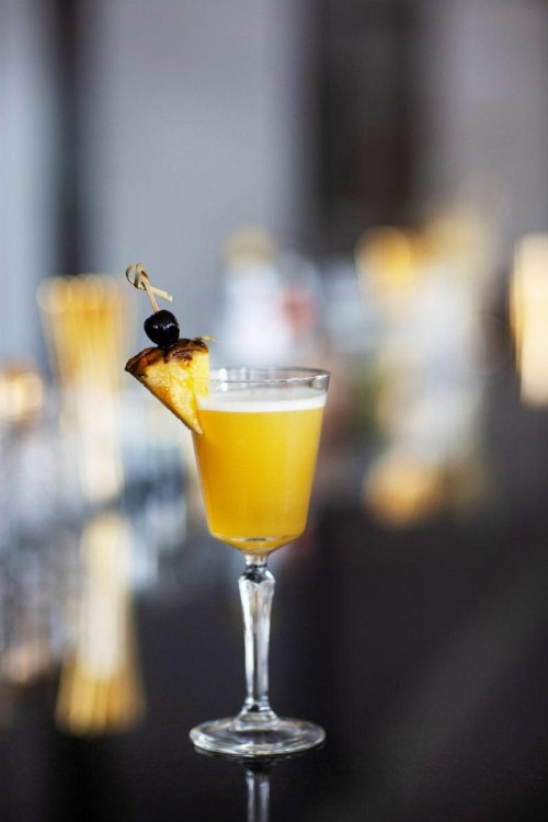 Andaz Savannah - A Concept by Hyatt - image 13